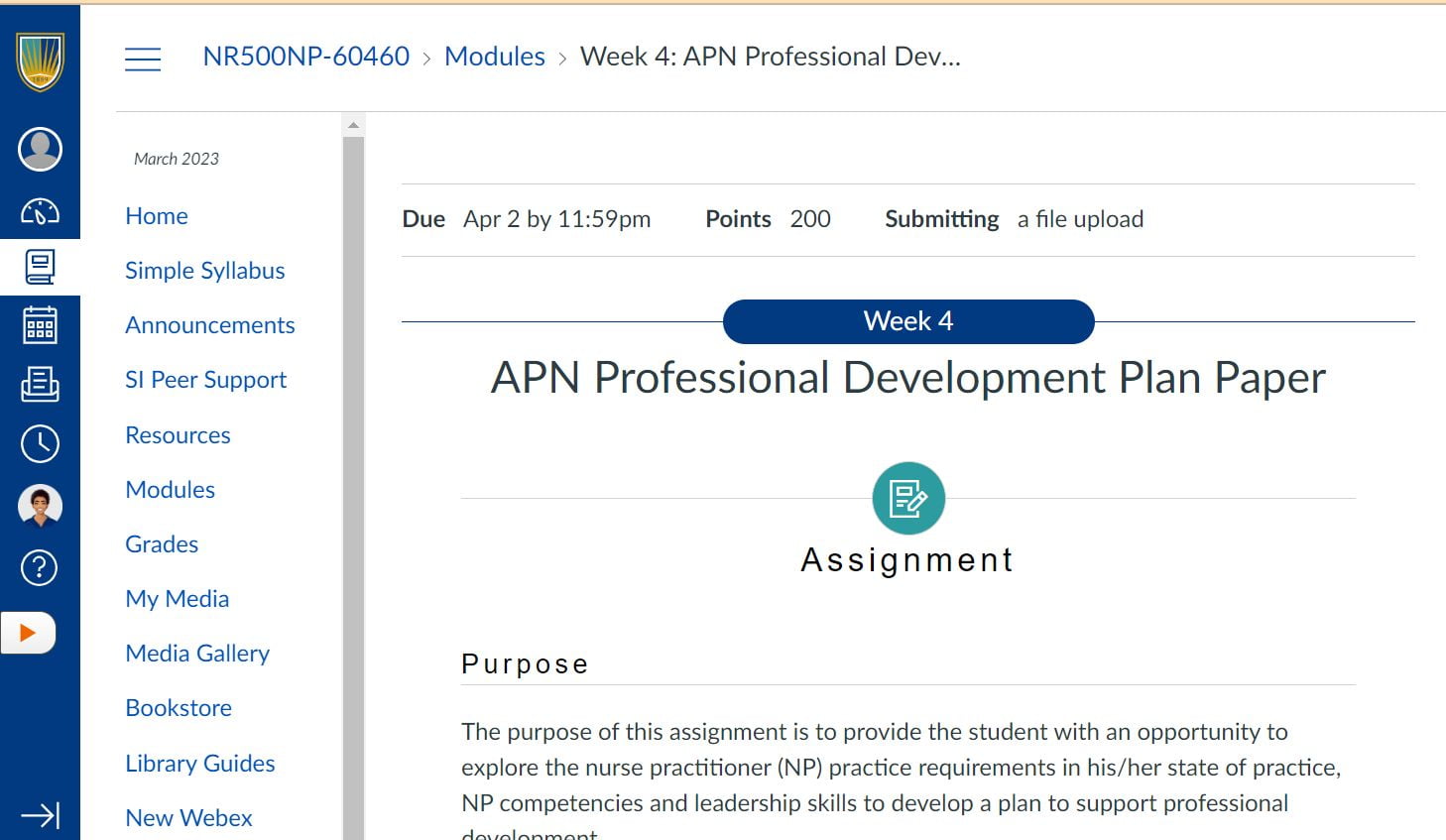 (Solution) NR 500 Week 4 Assignment: APN... - Scholarly Guider